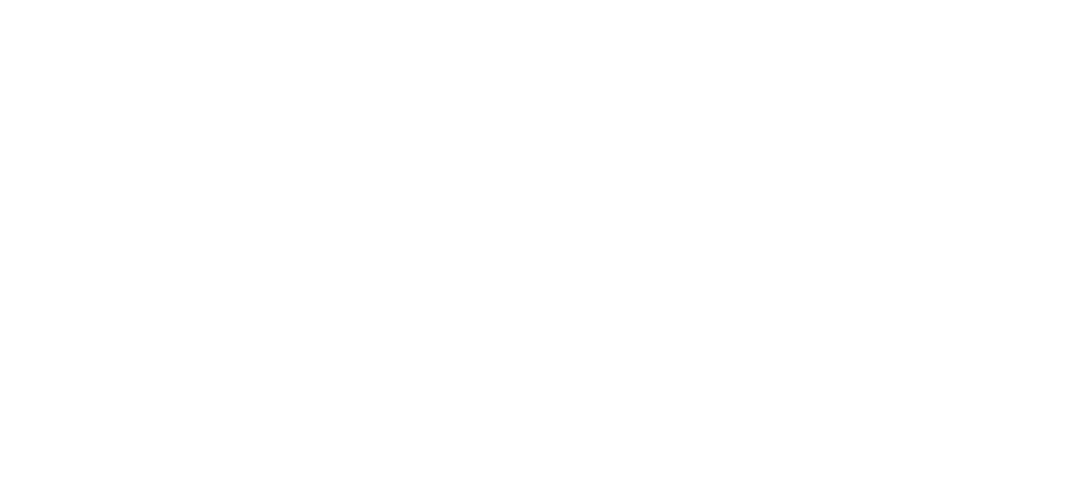 Arion Audio